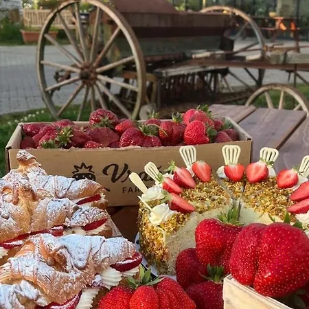 Dum Ve Vrananech 別荘 Mělník