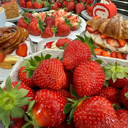 別荘 Dum Ve Vrananech