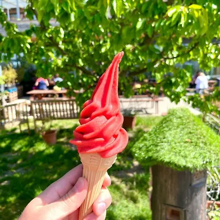 Dum Ve Vrananech Holiday home *